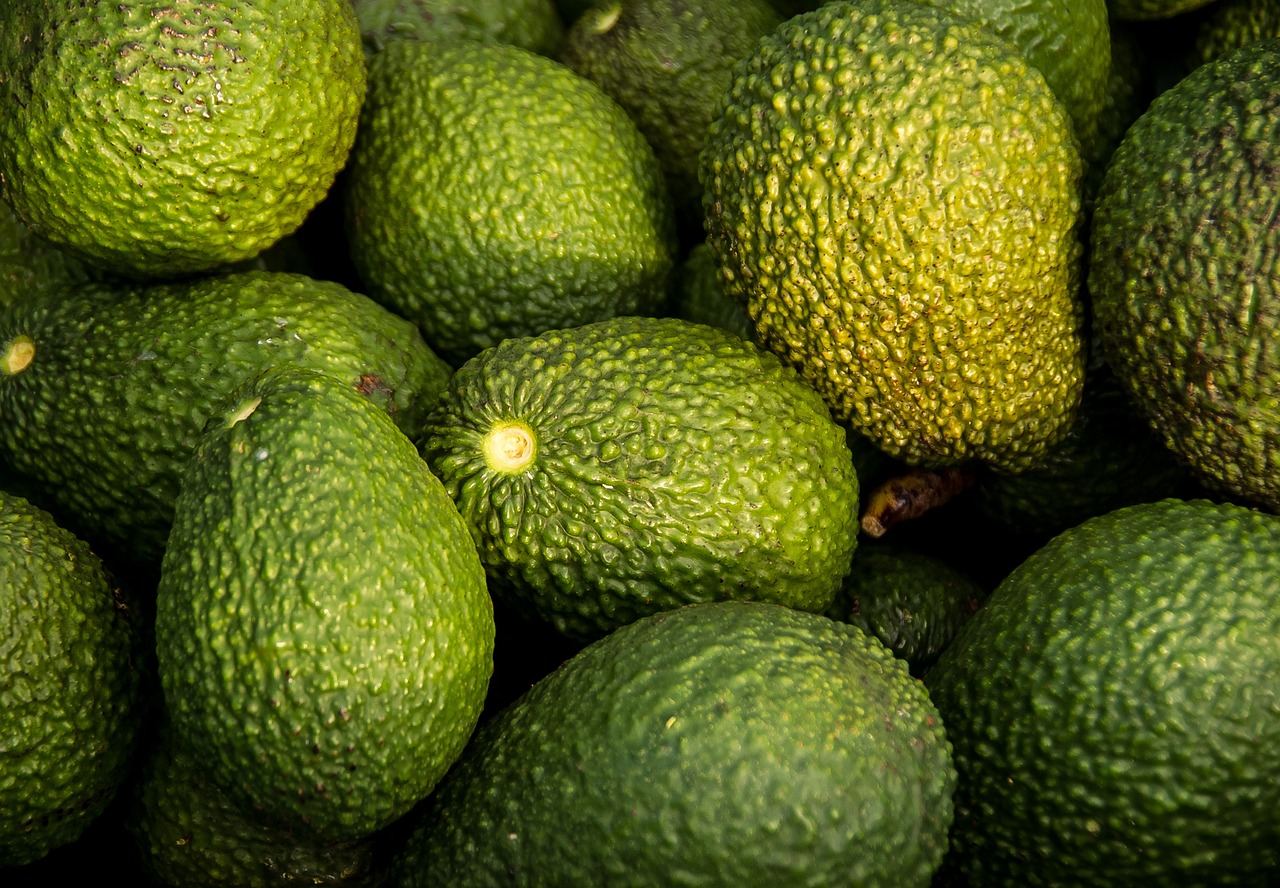 avocados harvest fruit organic 882635