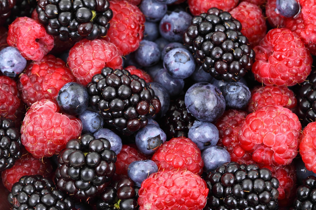 berries fruits food blackberries 2277
