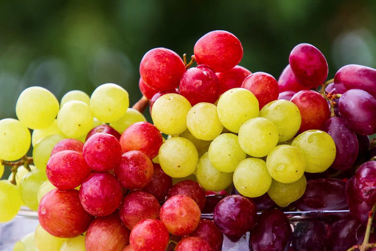 grapes fruit cluster grape 5889697