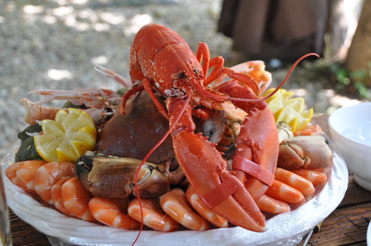 seafood platter shellfish food 1232389